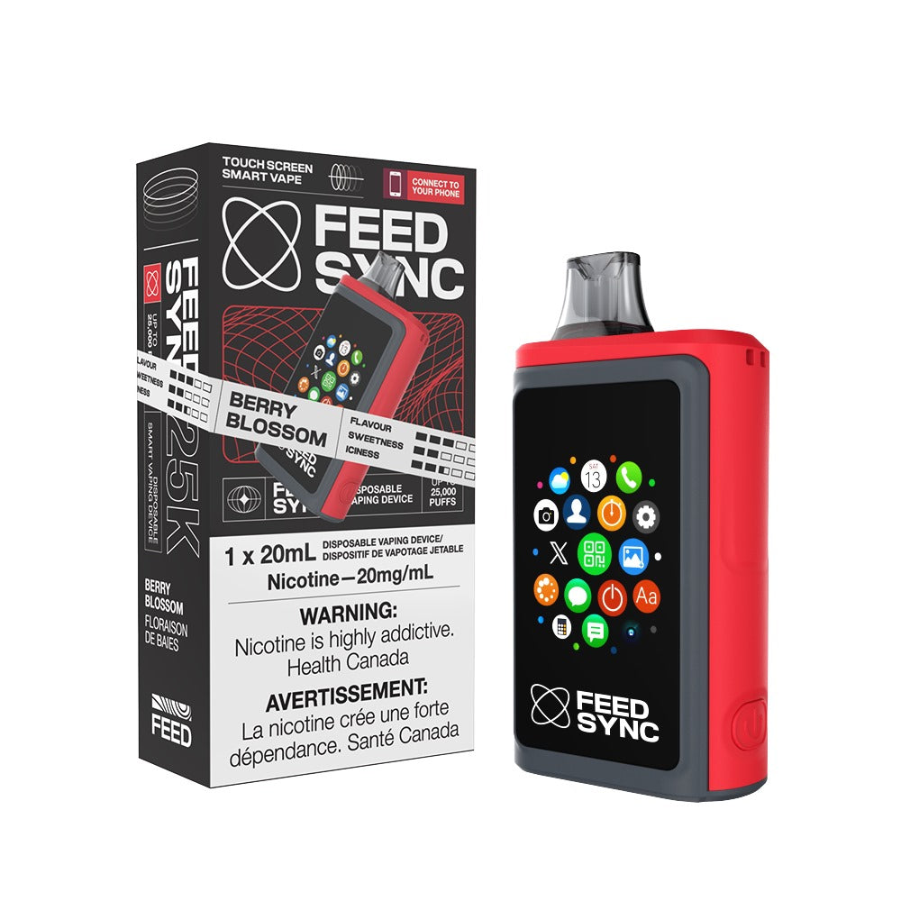 Feed Sync 25000 Disposable Vape Berry Blossom