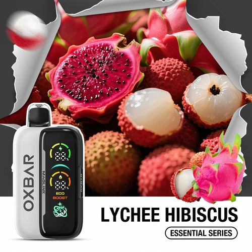 OXBAR Rocky Vapor Maglink 90K Starter Kit Lychee Hibiscus